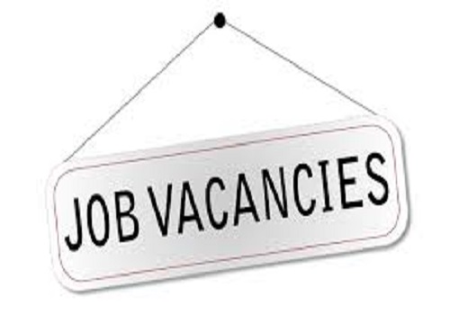 Latest Job Vacancies In Nigeria Find Your Dream Jobs Here